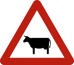 Panneau A29 : Traversée de bétail
