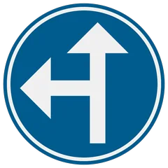 Panneau D3a : Obligation de suivre une des directions indiquées par les flèches