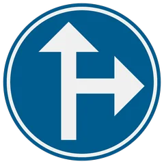 Panneau D3b : Obligation de suivre une des directions indiquées par les flèches