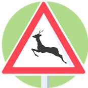 Signal de danger : traversée de gros gibier