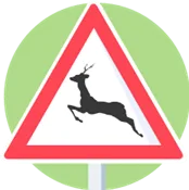 Signal de danger : traversée de gros gibier